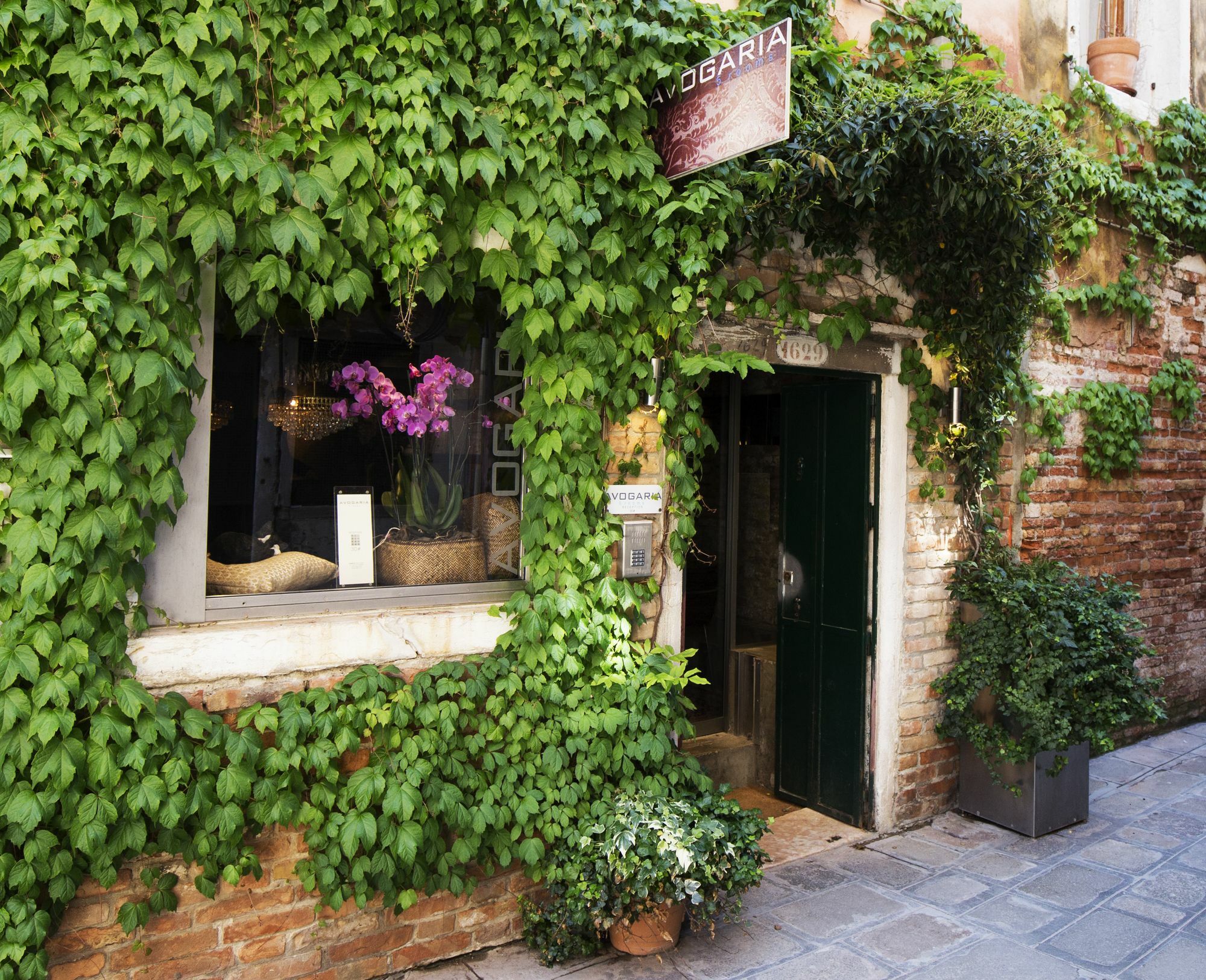Avogaria 5 Rooms Veneza Exterior foto